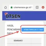 Arti Kode DTSEN TRIWULAN 3.1 2026 di Cek Bansos Kemensos