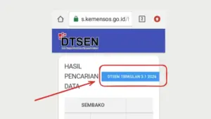 Arti Kode DTSEN TRIWULAN 3.1 2026 di Cek Bansos Kemensos