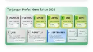 Pencairan TPG Kerap Terlambat Hingga 3 Bulan, Guru Dan Tenaga Pendidik Keluhkan Penerbitan SKTP